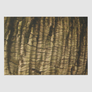 Papel De Seda Barrera de árbol de palmas