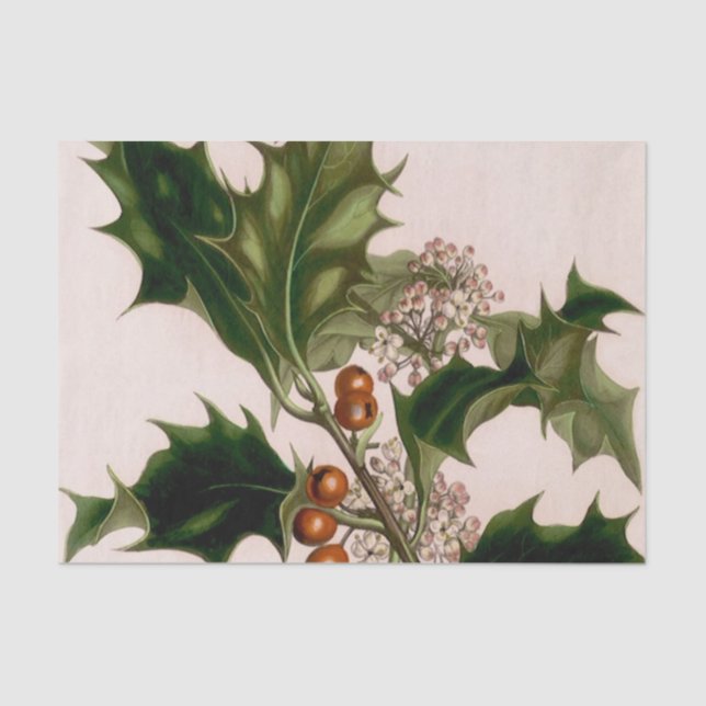 Papel De Seda bayas del acebo (Anverso)