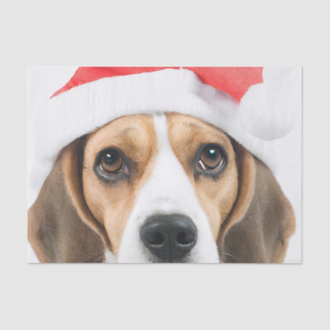 Papel De Seda Beagle Navidades (Anverso)