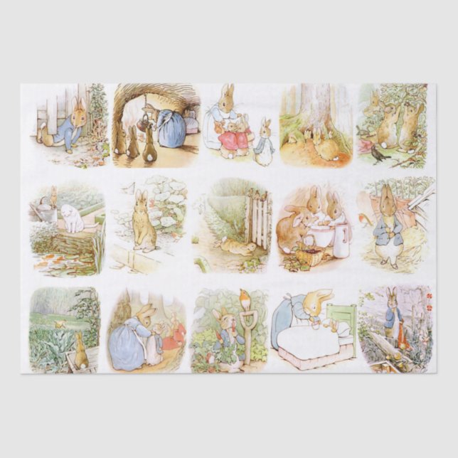 Papel De Seda Beatrix Potter (Anverso)