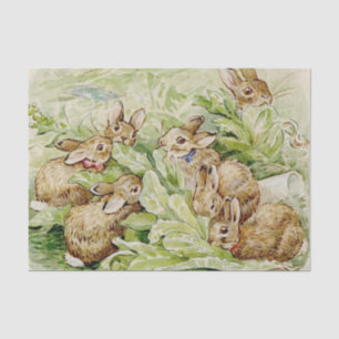 Papel De Seda Beatriz Potter Tale de los conejitos flopsy
