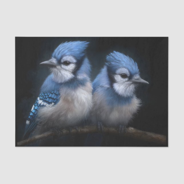 Papel De Seda Bebé Blue Jays (Anverso)