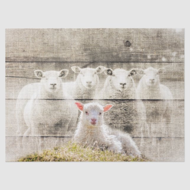 Papel De Seda Bebolla de oveja rústica (Anverso)