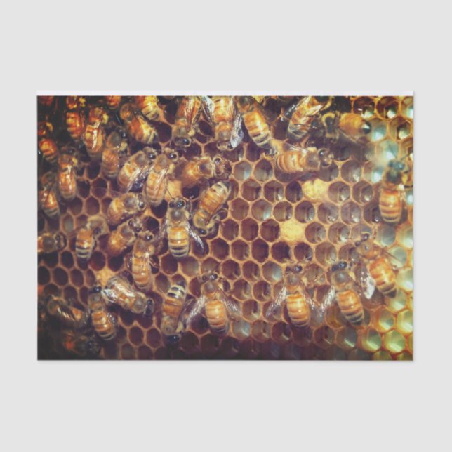 Papel De Seda Bee Hive (Anverso)