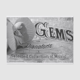 Papel De Seda Begonia Gems Pianoforte