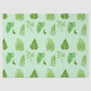 Papel De Seda Bellas pinturas de helechos de época