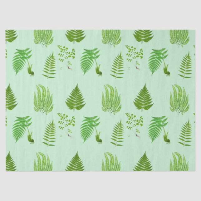 Papel De Seda Bellas pinturas de helechos de época (Anverso)