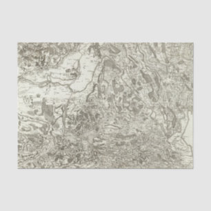 Papel De Seda Belley