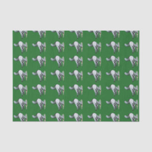 Papel De Seda Berliner Tumbler Pigeon Blue Bar