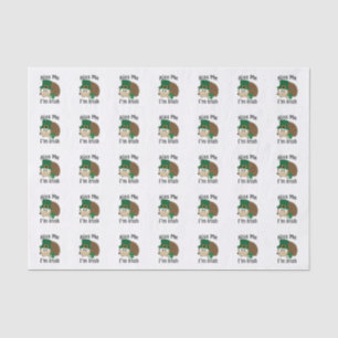 Papel De Seda Bésame Im Irlandés St Patricks Day Hedgehog