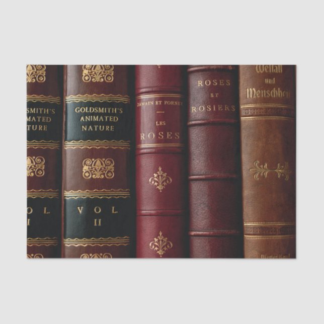 Papel De Seda Biblioteca de Antigüedades Libro de Cuero Oscuro S (Anverso)