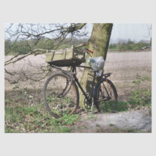 PAPEL DE SEDA BICICLETAS