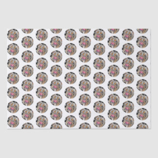 Papel De Seda Biggie el Bulldog Círculos Gram Animal