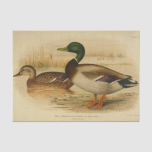 Papel De Seda Bird Ephemera Decoupage Mallard Duck Vintage