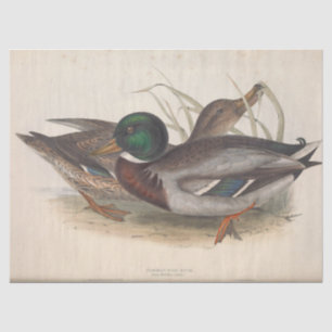 Papel De Seda Bird Ephemera Decoupage Mallard Ducks Vintage