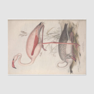 Papel De Seda Bird Flamingo Ephemera Decoupage