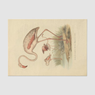 Papel De Seda Bird Flamingo Ephemera Decoupage