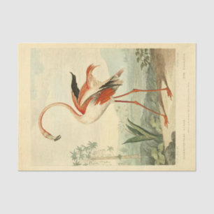 Papel De Seda Bird Flamingo Ephemera Decoupage