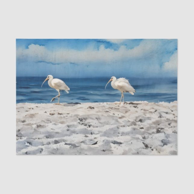Papel De Seda Birds on the Beach Tissue Paper (Anverso)