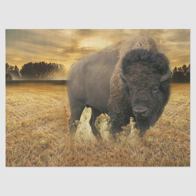 Papel De Seda Bison Prairie (Anverso)