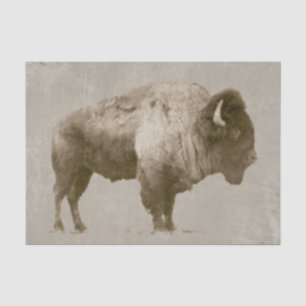 Papel De Seda Bisonte americano