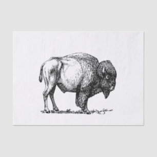 Papel De Seda Bisonte americano del búfalo