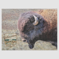 Bisonte de Yellowstone con logotipo del parque