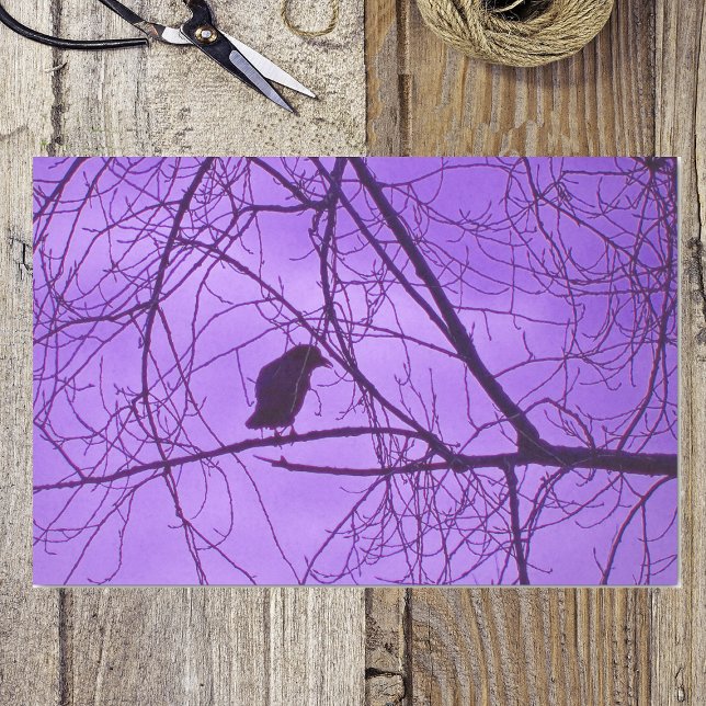 Papel De Seda Black Crow Purple Sky Black Spooky Treys (Silhouette single black crow in barren tree branches purple hazy sky on tissue wrapping paper.)