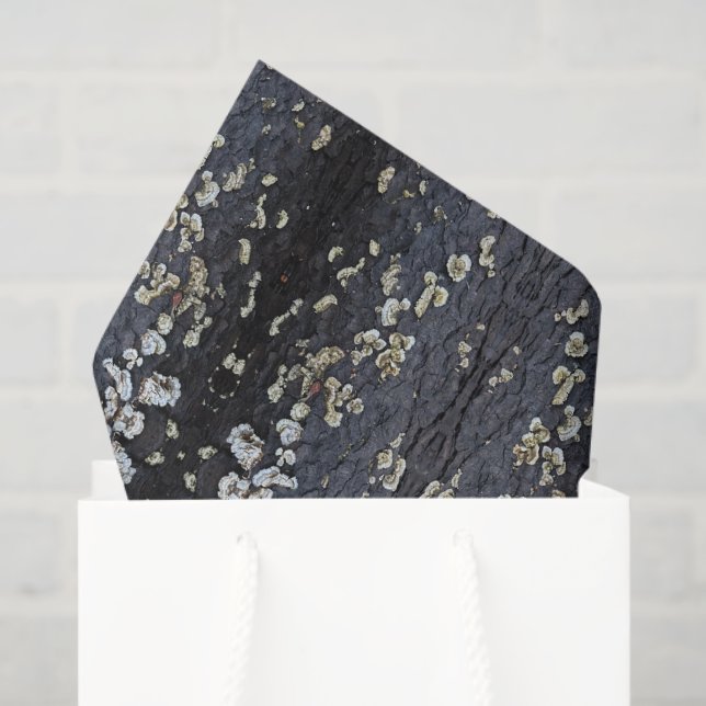 Papel De Seda Black Lace Tree Bark (Bolsa de regalo)