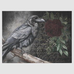 Papel De Seda Black Raven Rosa Whimsical