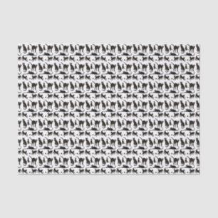 Papel De Seda Blackie el papel seda del gato negro