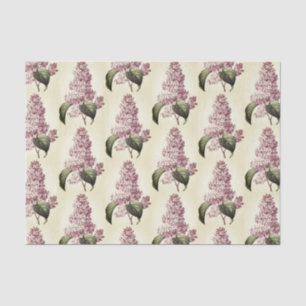 Papel De Seda Blossom de lino púrpura botánico antiguo