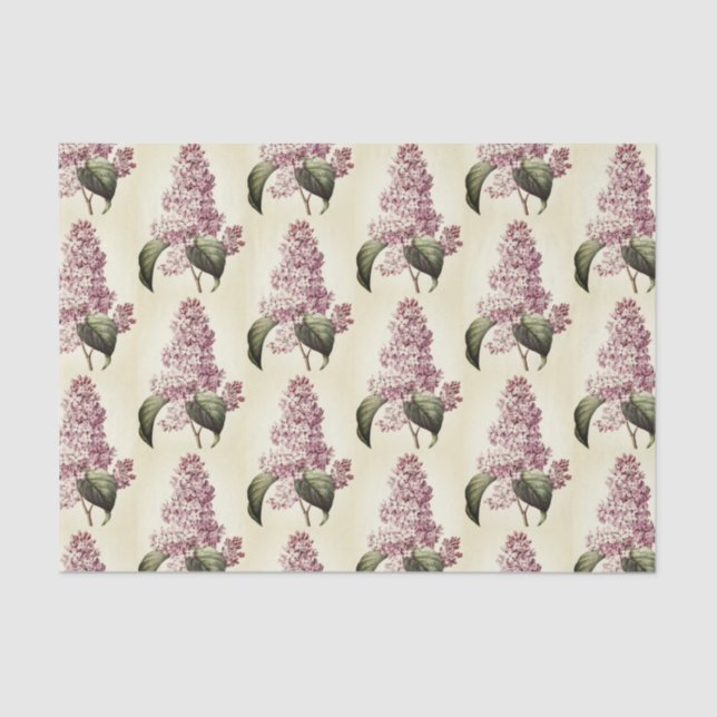 Papel De Seda Blossom de lino púrpura botánico antiguo (Anverso)