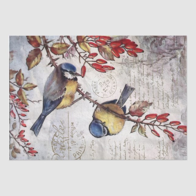 Papel De Seda Blue Bird Red Berries French Script Decp (Anverso)
