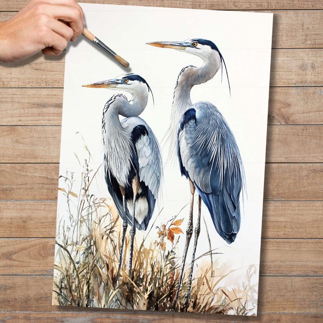 Papel De Seda Blue Herons 3 Decolour Paper (Subido por el creador)
