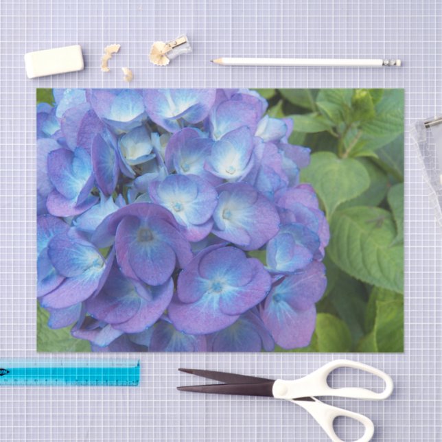 Papel De Seda Blue Hydrangea Petals Floral (Artesanía)