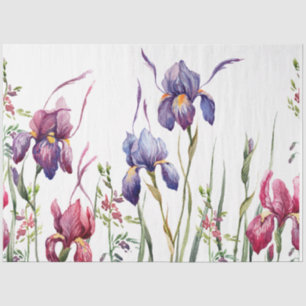Papel De Seda Blue Purple Pink Iris Flowers Watercolor Garden