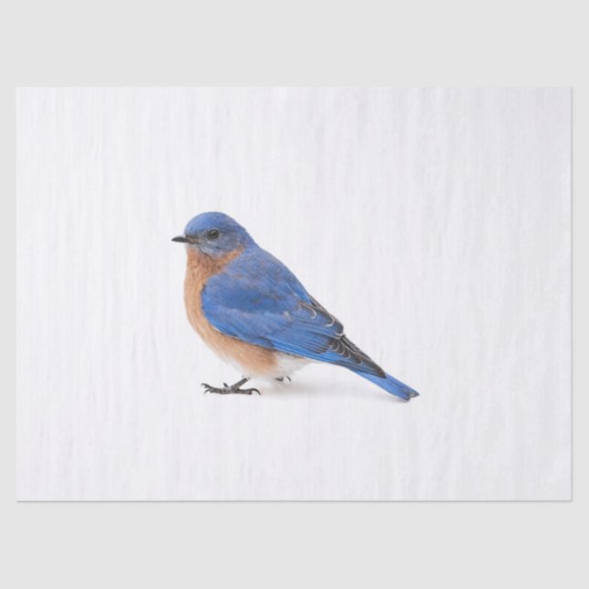Papel De Seda Bluebird (Anverso)