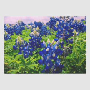 Papel De Seda Bluebonnets Blue Floral Texas Texan Elegant