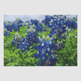 Papel De Seda Bluebonnets Blue Floral Texas Texan Elegant