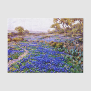 Papel De Seda Bluebonnets en Twilight North, San Antonio,