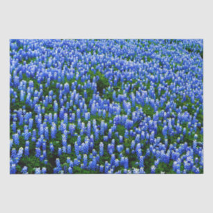 Papel De Seda Bluebonnets Floral Azul Texas Texan Tejido Elegant