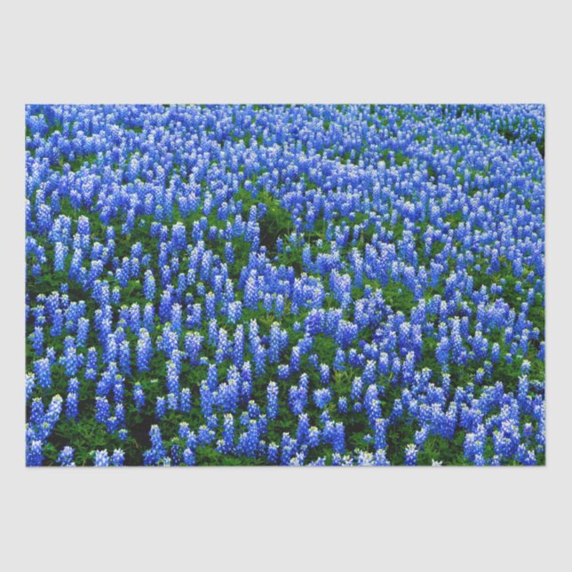 Papel De Seda Bluebonnets Floral Azul Texas Texan Tejido Elegant (Anverso)