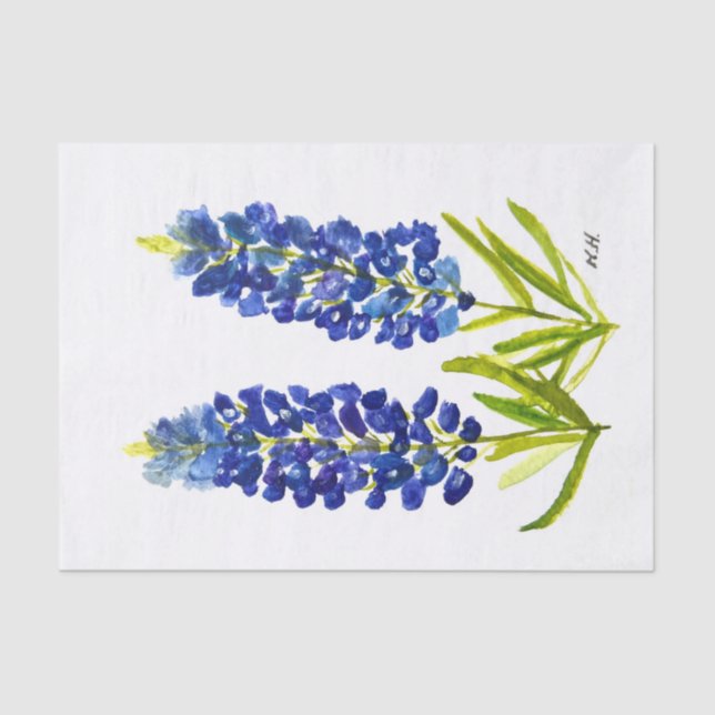 Papel De Seda Bluebonnets Texas State Flowe Lupine Watercolor (Anverso)