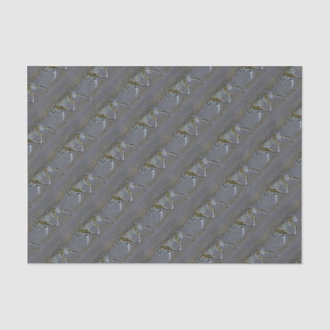 Papel De Seda Bobcat (Anverso)
