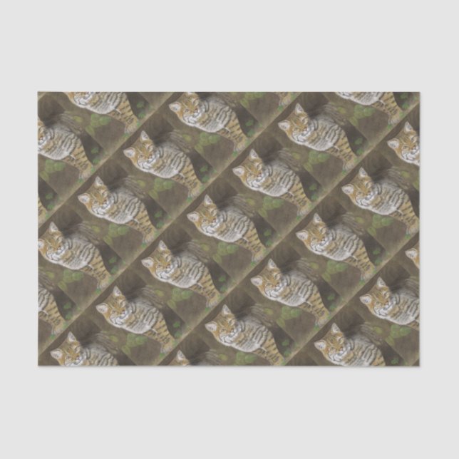 Papel De Seda Bobcat (Anverso)
