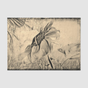 Papel De Seda Boceto de girasol Arte texturizado vintage antiguo