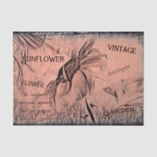 Papel De Seda Boceto de girasol Sepia Vintage Antiguo Efímera