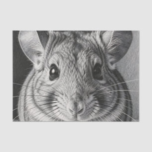 Papel De Seda Boceto realista de retrato de chinchilla