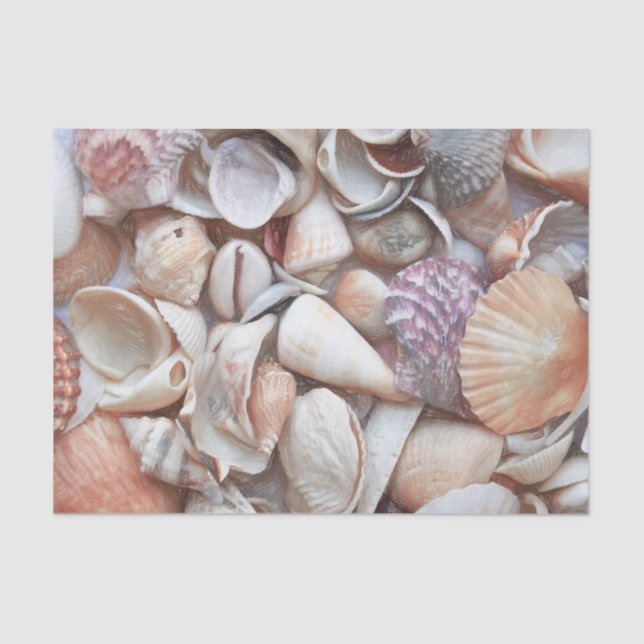 Papel De Seda Bocetos de conchas marinas Océano Náutico Playa De (Anverso)
